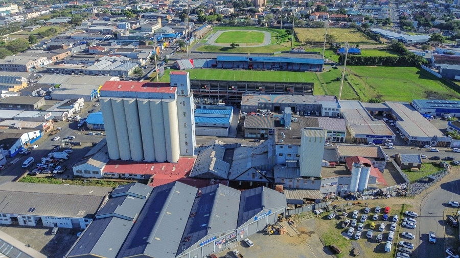Commercial Property for Sale in Arcadia Eastern Cape